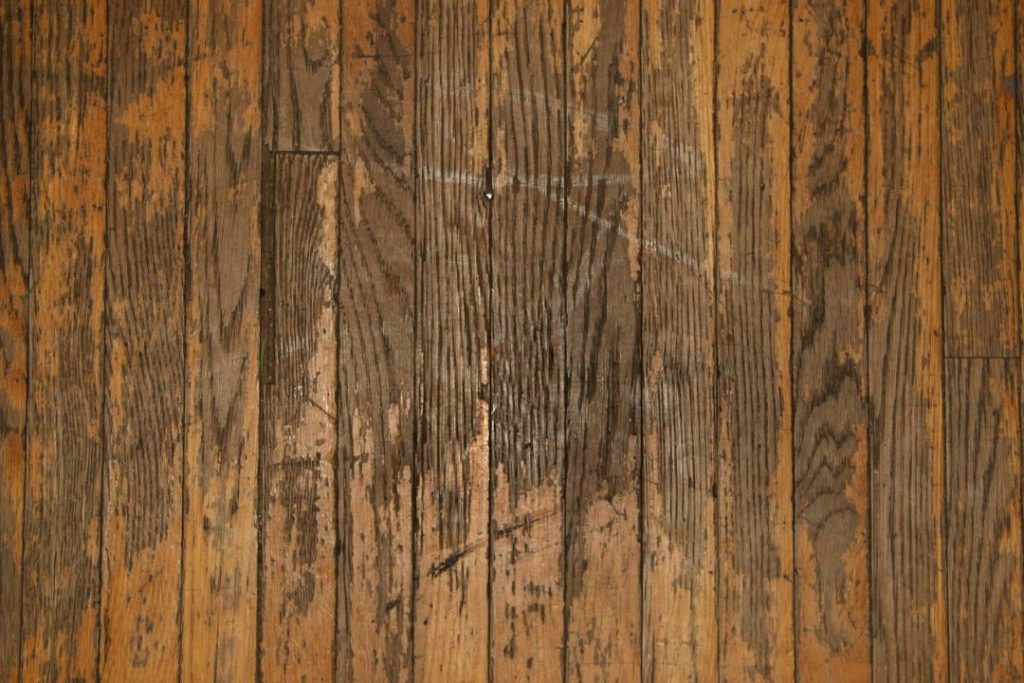 rough or splintered floor is dangerous for people and pets