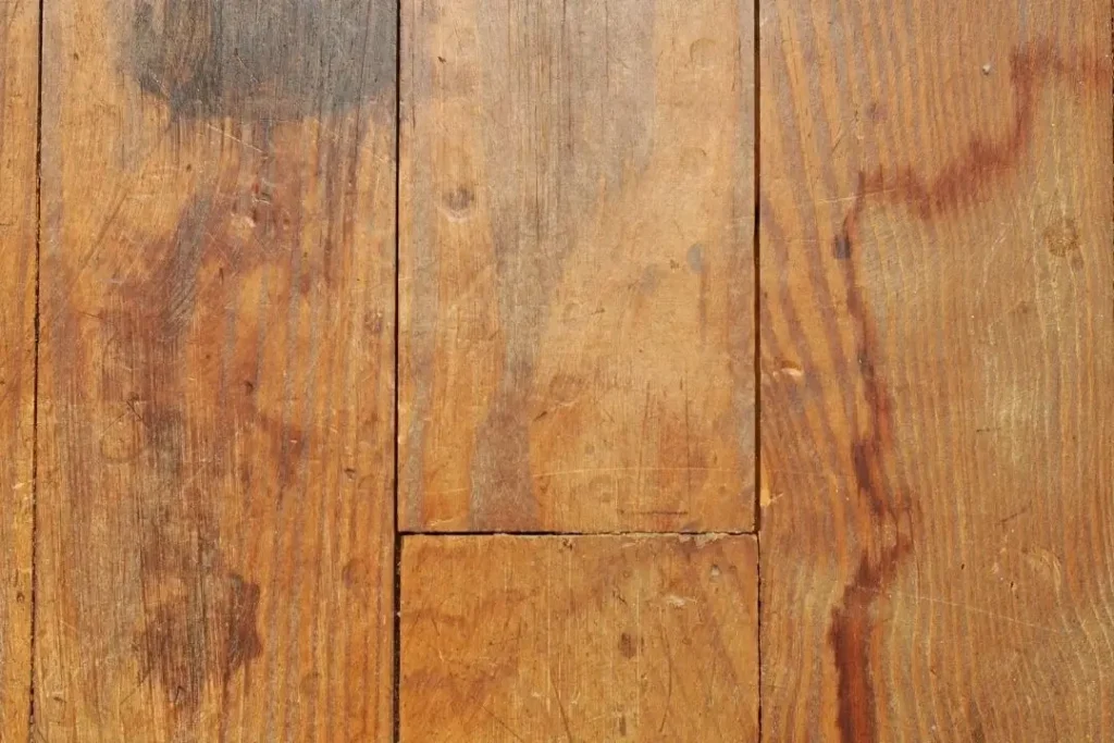 water-damaged timber floor