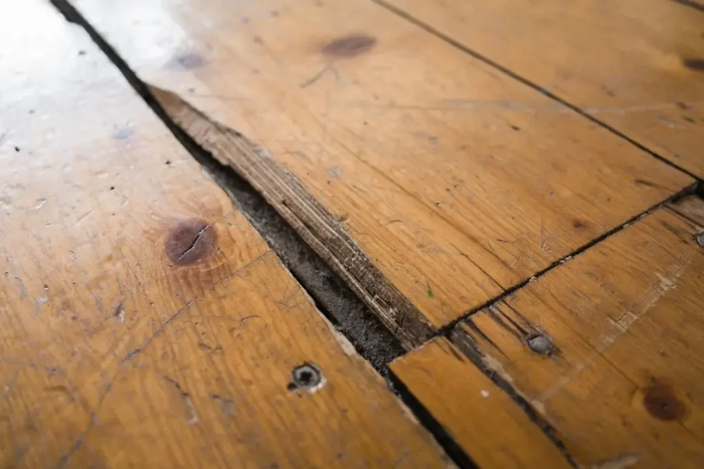 damaged timber floor board