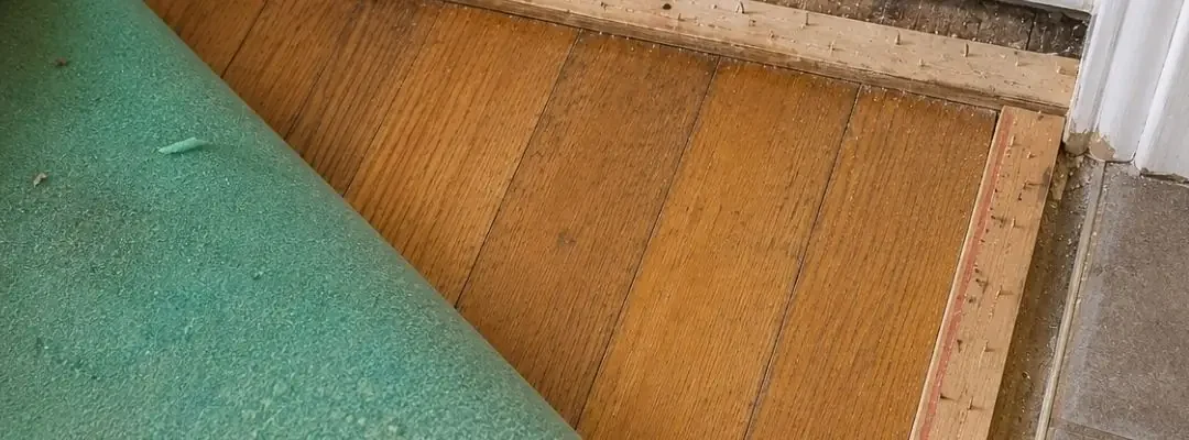 Timber Floors Hidden Under Carpet | What to Expect